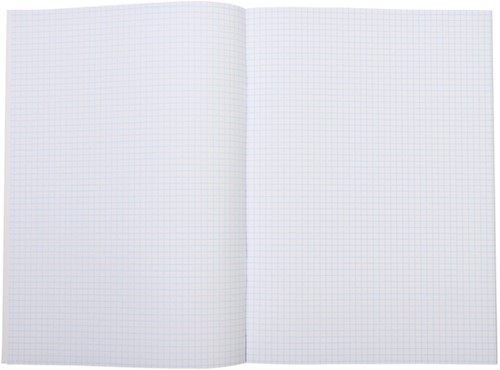 Schrift Qbasic A4 ruit 5mm 80blz 70gr assorti-2