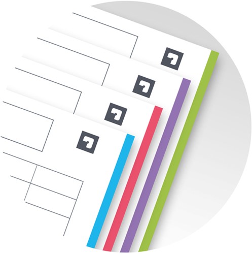 Collegeblok Oxford Office Essentials Europeanbook A4+ 4-gaats 120 pagina's assorti-2