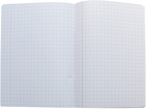 Schrift Oxford School A4 ruit 10x10mm 72 pagina's 80gr assorti-3