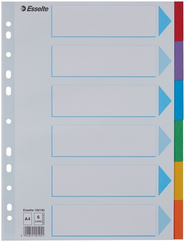 Tabbladen Esselte Standaard A4 6-delig karton 11-rings met voorblad assorti