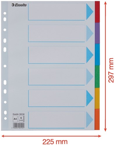 Tabbladen Esselte Standaard A4 6-delig karton 11-rings met voorblad assorti-1