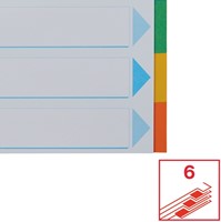 Tabbladen Esselte Standaard A4 6-delig karton 11-rings met voorblad assorti-7