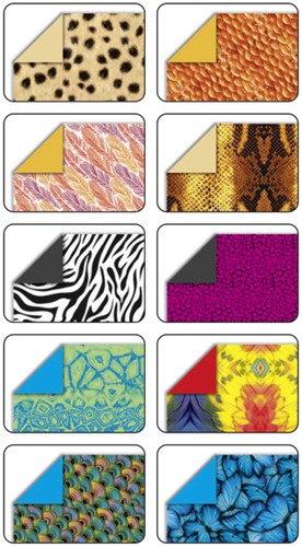 Vouwblaadjes Folia 80gr 15x15cm 50 vel 2-zijdig 10 wildlife designs-2