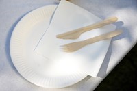 Vork 160mm hout pak/100-3