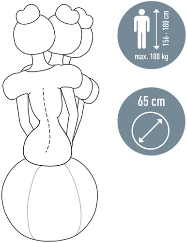 Actieve zitbal Leitz Ergo Cosy grijs-8