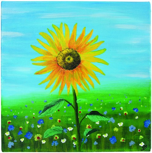 Schildersdoek Qrea Studio 50x60cm-3