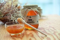 Etiket HERMA 10752 48.3x33.8mm silphie bruin 640 stuks-3