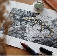 Tekenset rOtring Isograph college 0.25mm, 0.35mm en 0.5mm 34 stuks-4