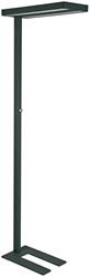 Vloerlamp MAUL Juvis LED beweging- daglichtsensor dimbaar hg 195cm zwart