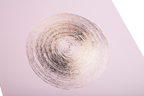 Fotoalbum Exacompta 29x32cm 60 witte pagina's Ellipse roze-4