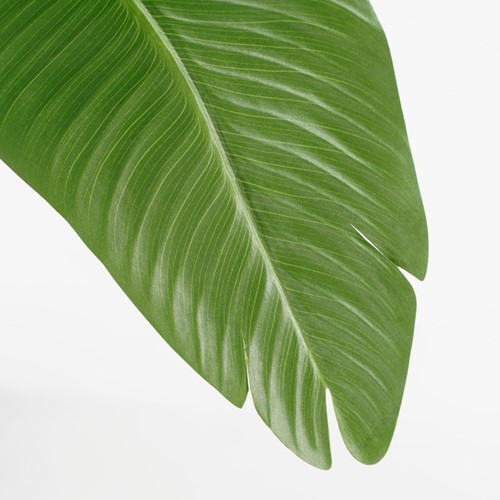 Kunstplant Mica Bananen boom in plastic pot 180x30cm-1
