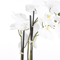 Kunstplant Mica Phalaenopsis orchideeën wit in plastic pot 79x51cm-2