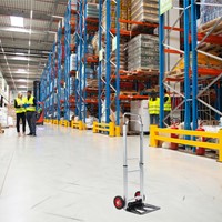 Steekwagen BRASQ stalen plateau 90 kg-1