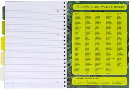 Projectboek Pukka Pad Recycled A4 lijn 5-tabs 4-gaats 200 pagina's 80gr groen-2