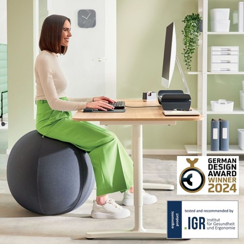 Actieve zitbal Leitz Ergo 75cm anti-rol donkergrijs-11
