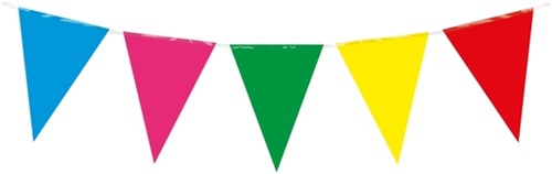Party Flag PE Multi Colour