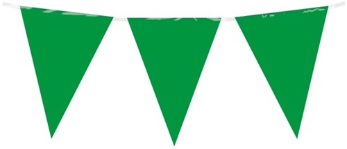 Party Flag PE Green
