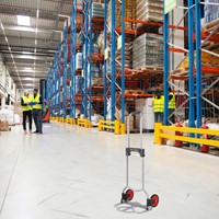 Steekwagen BRASQ Inklapbaar HT60 incl. bagagespin 60Kg-1