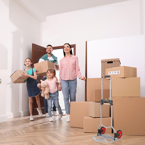 Steekwagen BRASQ Inklapbaar HT60 incl. bagagespin 60Kg-2