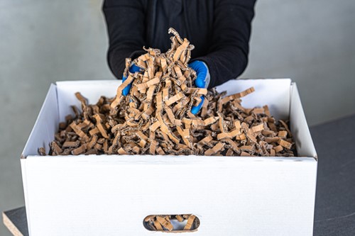 Verpakkingschipmachine HSM ProfiPack ecoChip-1