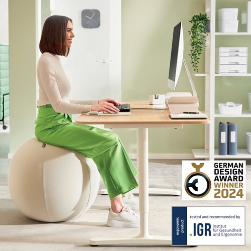 Actieve zitbal Leitz Ergo 75cm anti-rol design-3