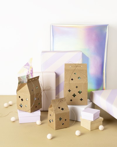 Giftbox Folia Star kraft set à 6 stuks-1