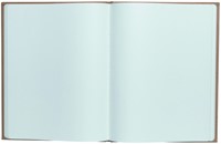 Gastenboek Exacompta Graphik 270x220mm blanco kraft-1