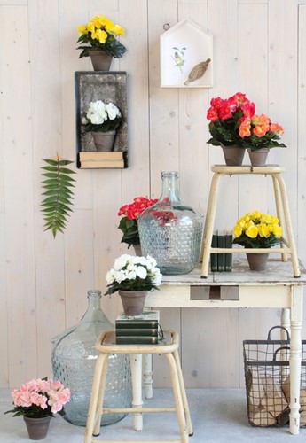 Kunstplant Mica Begonia wit in pot Stan grijs Ø25 30cm-2