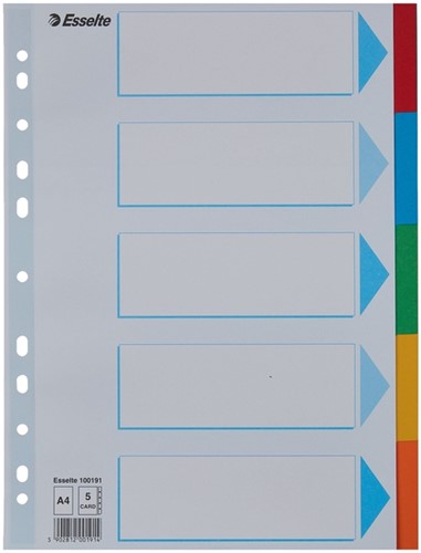 Tabbladen Esselte Standaard A4 5-delig karton 11-rings met voorblad assorti