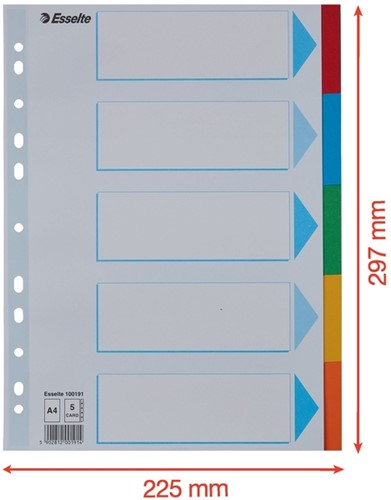 Tabbladen Esselte Standaard A4 5-delig karton 11-rings met voorblad assorti-2