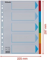 Tabbladen Esselte Standaard A4 5-delig karton 11-rings met voorblad assorti-1