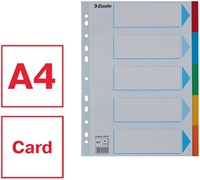 Tabbladen Esselte Standaard A4 5-delig karton 11-rings met voorblad assorti-4