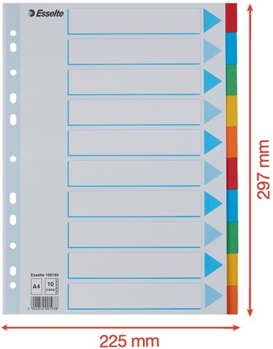 Tabbladen Esselte Standaard A4 10-delig karton 11-rings met voorblad assorti-1