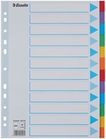 Tabbladen Esselte Standaard A4 12-delig karton 11-rings met voorblad assorti