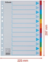 Tabbladen Esselte Standaard A4 12-delig karton 11-rings met voorblad assorti-1