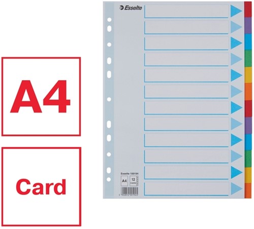 Tabbladen Esselte Standaard A4 12-delig karton 11-rings met voorblad assorti-3