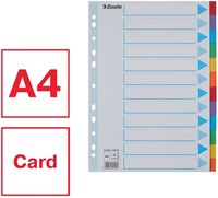 Tabbladen Esselte Standaard A4 12-delig karton 11-rings met voorblad assorti-4