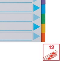 Tabbladen Esselte Standaard A4 12-delig karton 11-rings met voorblad assorti-5