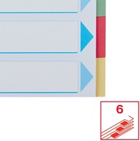 Tabbladen Esselte Premium A4 6-delig karton 23-rings assorti-5