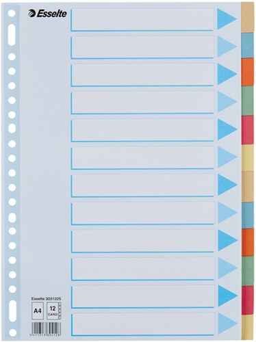 Tabbladen Esselte Premium A4 12-delig karton 23-rings assorti