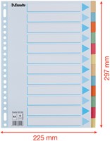 Tabbladen Esselte Premium A4 12-delig karton 23-rings assorti-2
