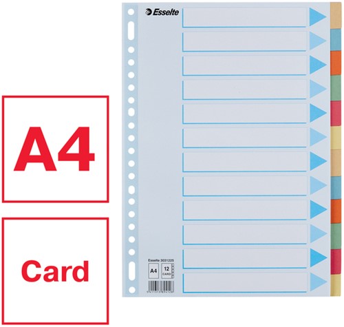 Tabbladen Esselte Premium A4 12-delig karton 23-rings assorti-2