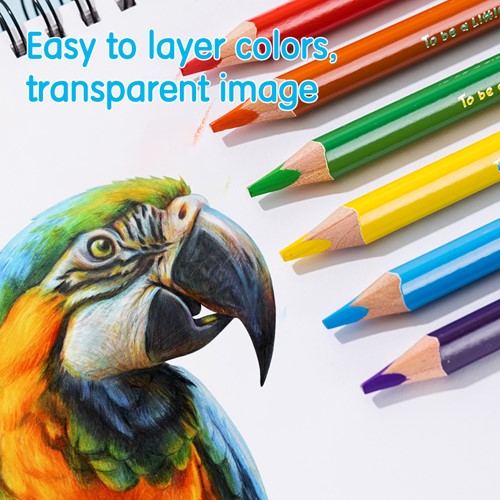 Kleurpotloden Jumbo "Color Kids" - 12 kleuren-2