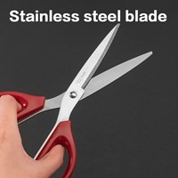 Deli schaar assorti, 210mm-2