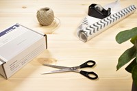 Kantoorschaar Westcott 171mm met kunststof grip rvs-3