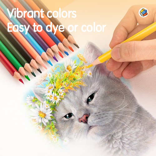 Kleurpotloden - 12 kleuren-3