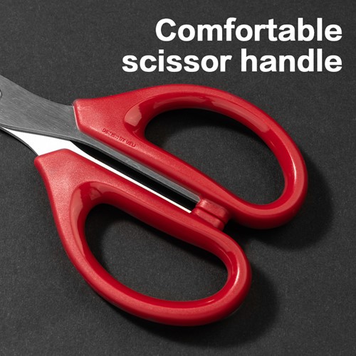 Deli schaar assorti, 210mm-3