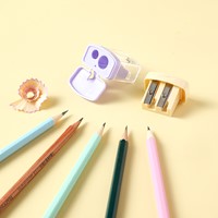 Puntenslijper 2 gaats assorti