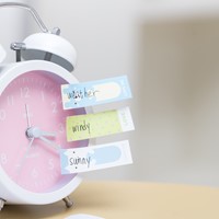 Indextabs 45x15mm assorti