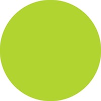 Brushstift STABILO Pen 568/33 lichtgroen-2